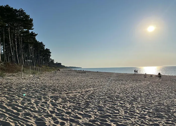 Zalesie Apartamento *