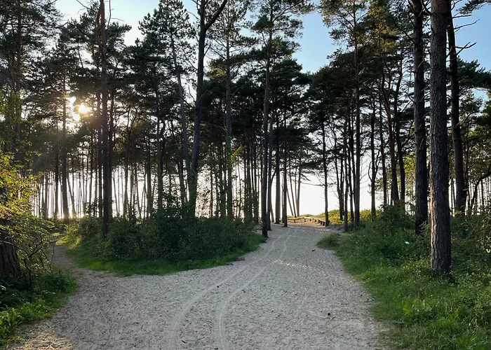 Zalesie Jarosławiec